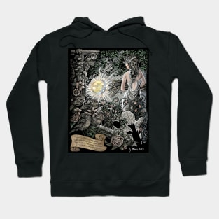 Lost in hell, Persephone, it is not so dreadful here Hoodie